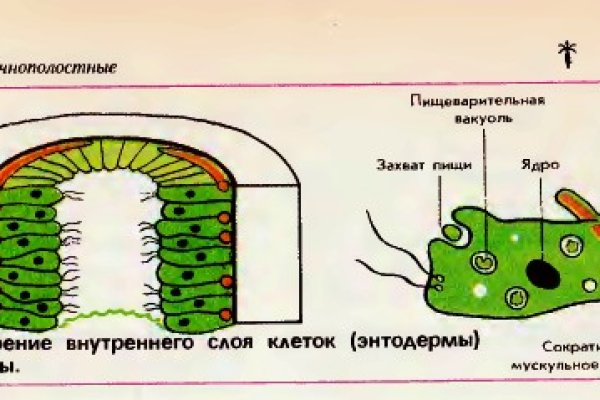 Кракен вход ссылка