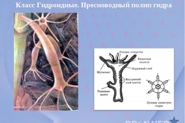 Кракен даркнет как зайти